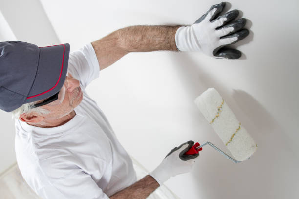 Best Environmental Consulting for Mold Prevention  in Brighton, AL
