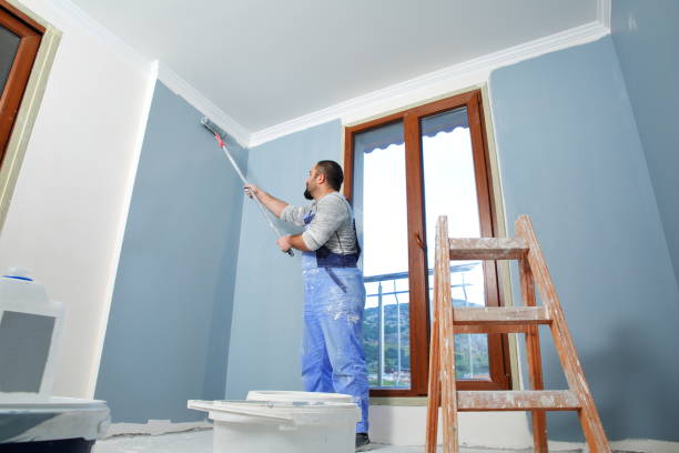 Best Mold Removal for HVAC Installations  in Brighton, AL