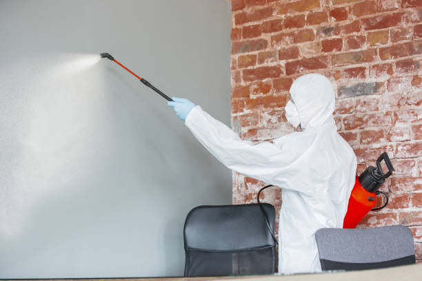 Best Mold Remediation for Healthcare Facilities  in Brighton, AL