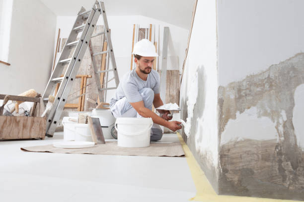 Best Black Mold Removal  in Brighton, AL