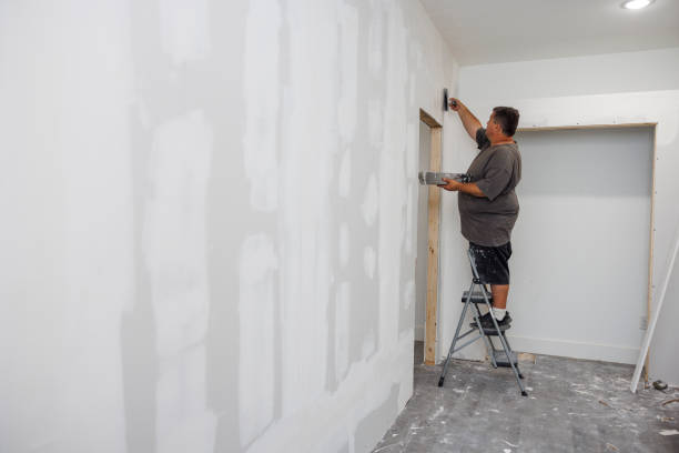 Best Post-Construction Mold Inspection  in Brighton, AL