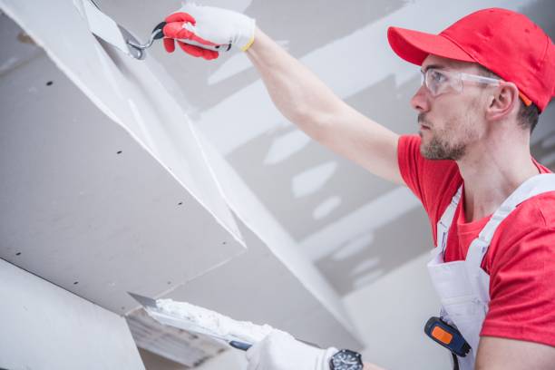 Best Mold Odor Removal Services  in Brighton, AL